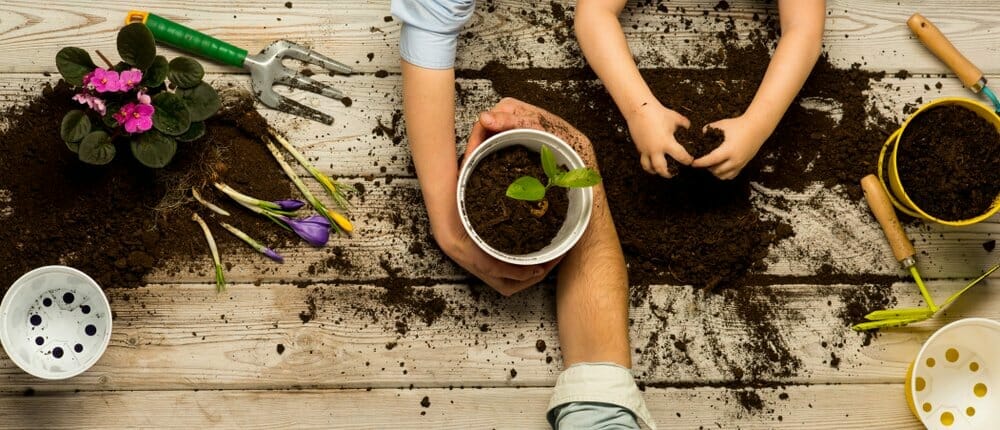 Mano de un hombre y una mujer sobre una maceta con planta. Manos de un niño en la tierra.