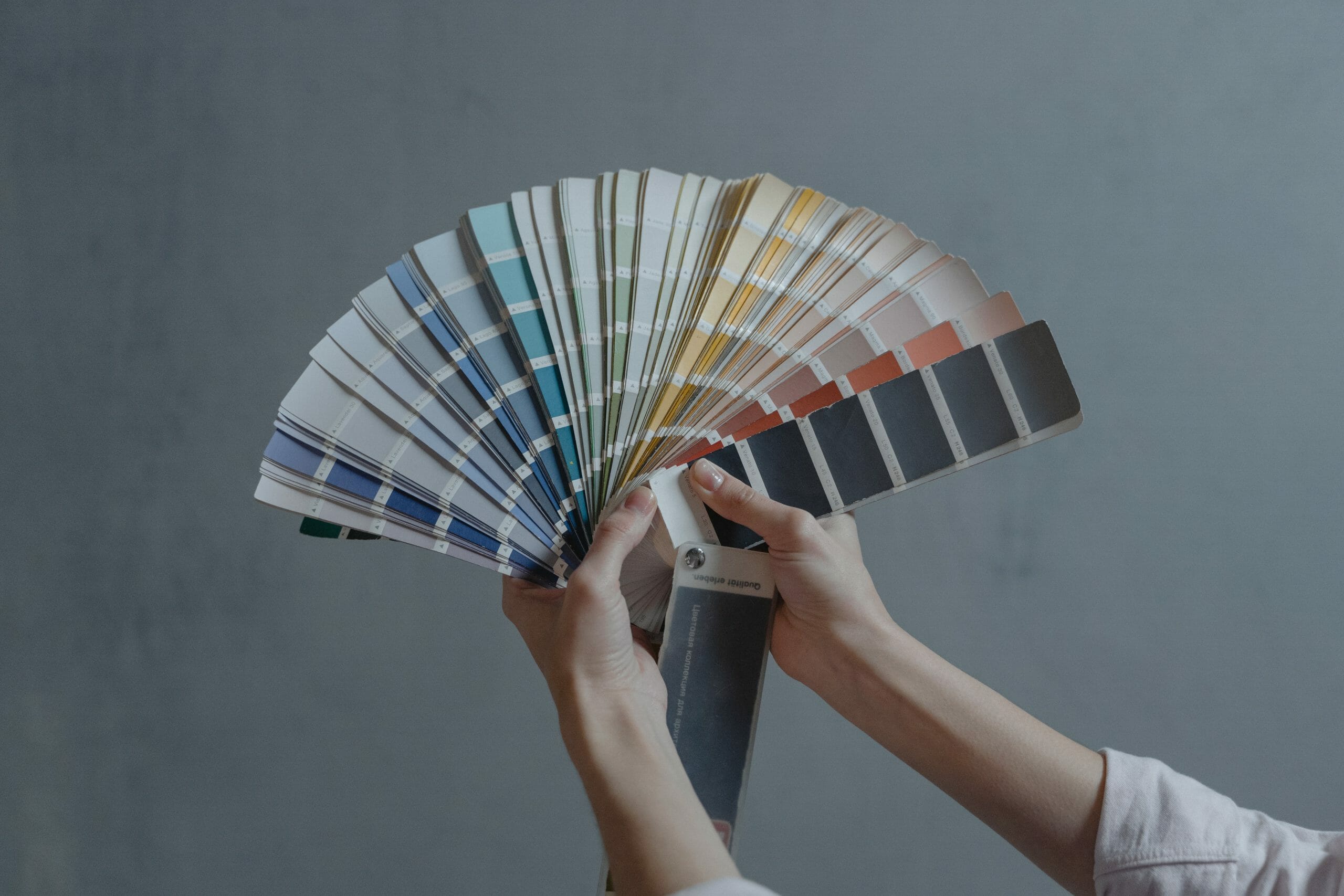 paleta de colores