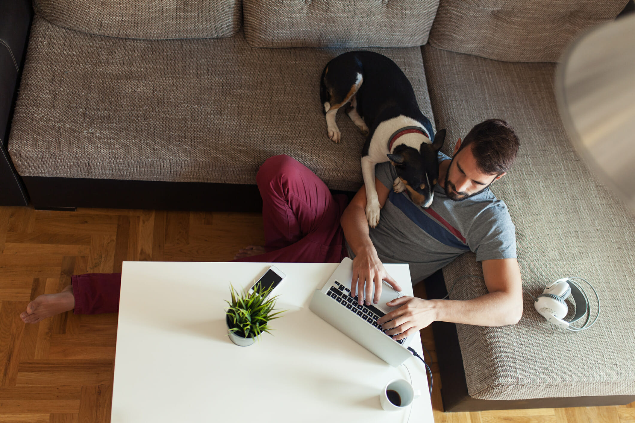 Male working on laptop from his home and hanging out with his dog pet