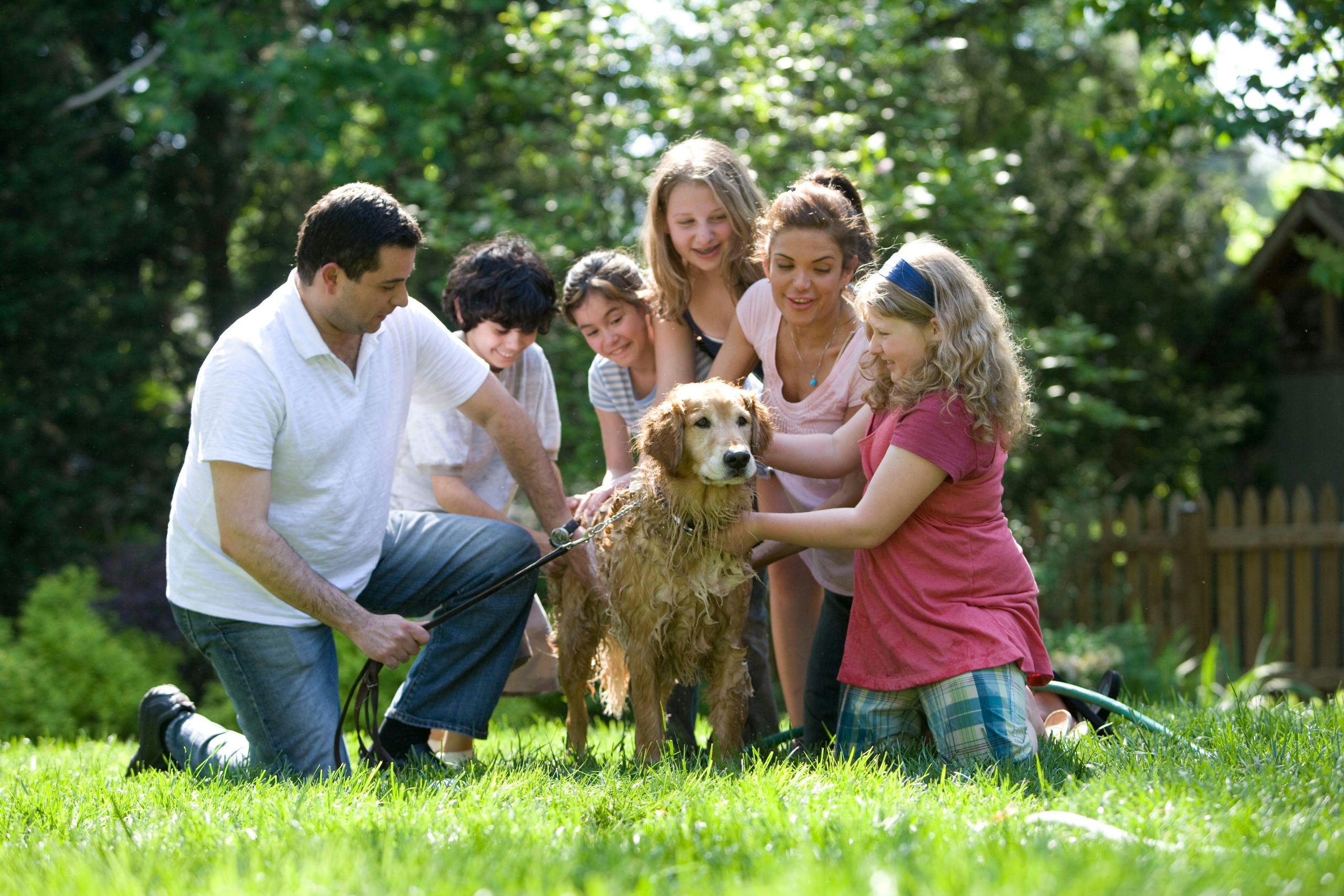 Familia bañando a su perro en el patio en un día soleado.