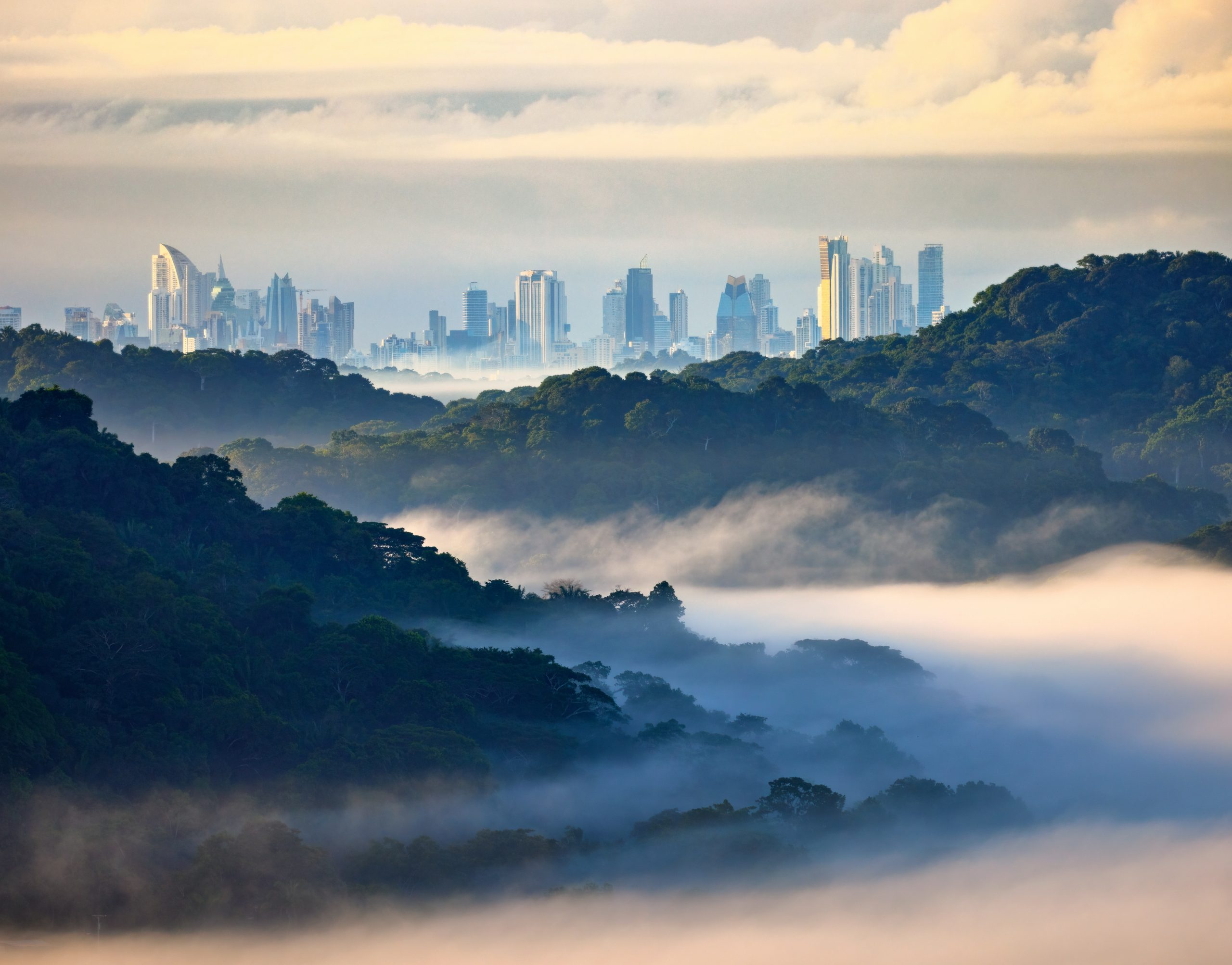 Vista panorámica de la Ciudad de Panamá desde zona boscosa metropolitana.